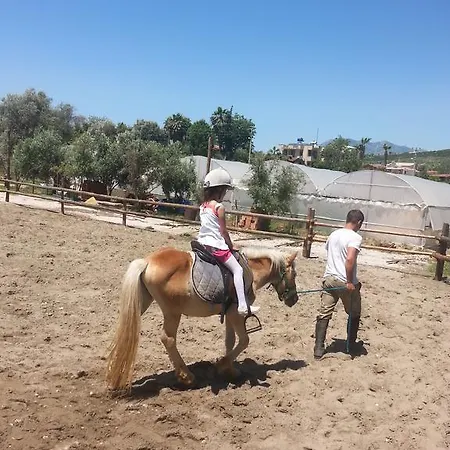 Ranch